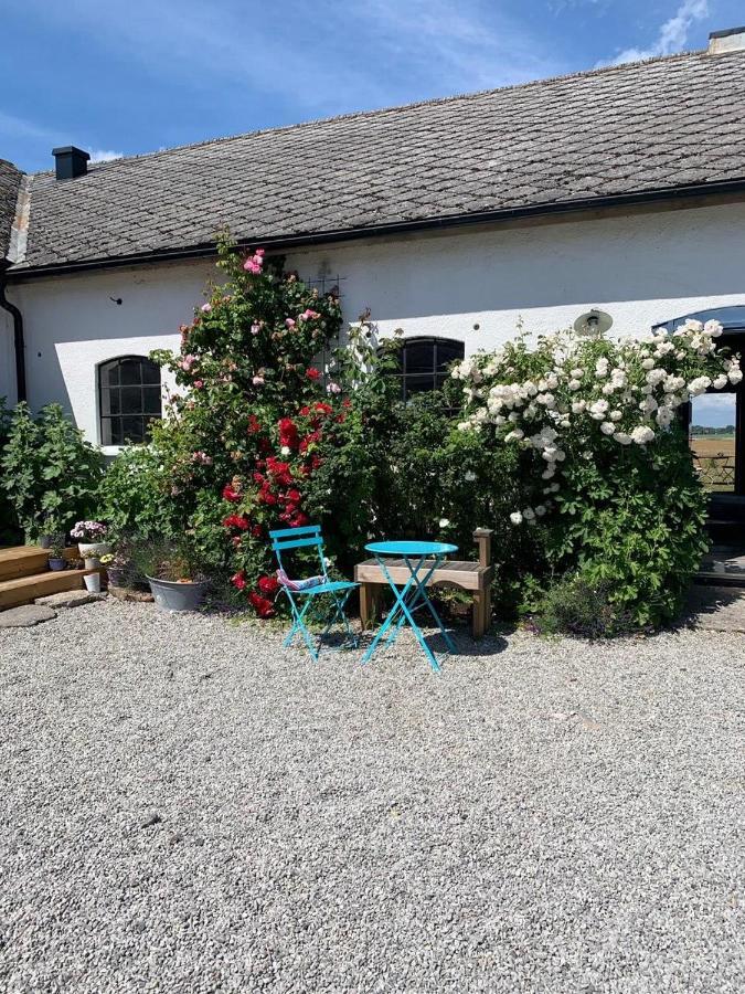 Raevakra B&B Hammenhög Exterior foto